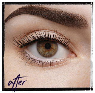 LVL lashes Bristol