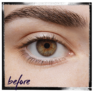 LVL lashes Bristol